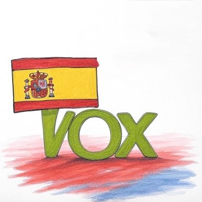 Vox me representa por mis valores, manera de vivir y lo que quiero para España 🇪🇸 . . De la Fachosfera.