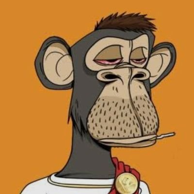 catalog_ca37904's profile picture. Degen trader , Skilled moderator
