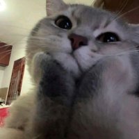 Byan²⁶ (@luckyiest01) 's Twitter Profile