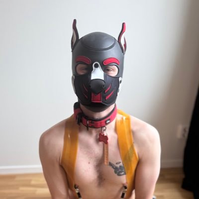Swedish pup who loves FF 🐾🇸🇪 FF vers👊🏻 Owned by pup Flix 🐾💕