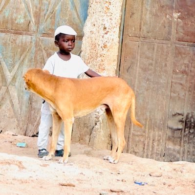 in the Gambia🇬🇲 we have many of cultures, and many local languages the local language we have here are MANNDINGA, WOLLOF, JOLA, SARAHULA, MANJAGO, FULA,