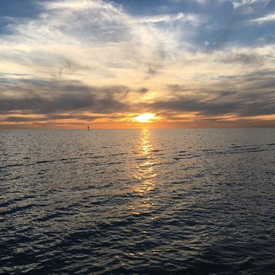 clem_tweets's profile picture. Hi, hope u have a good day!