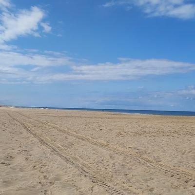 joelsavoie1's profile picture. curieux