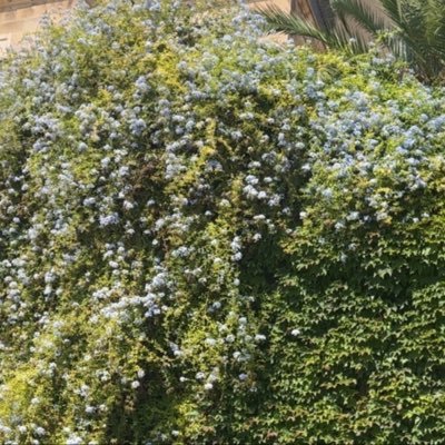 RAlhethail's profile picture. 