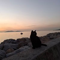 Alparslan Hanedan (@kayrakhan619) Twitter profile photo