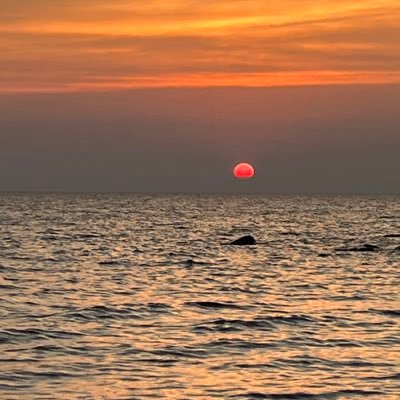 jwpwpgmb's profile picture. Traveler