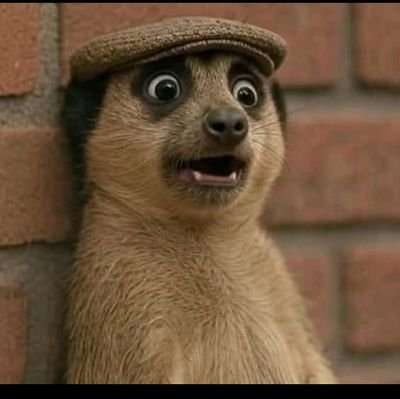 charlotteAmoa16's profile picture. I am down to earth