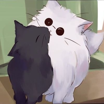 CHIMMYCOOKYJMJK's profile picture. -No love zone
-Mignon
-Hyperventilation