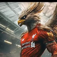 K Cal (@kierancahi4428) 's Twitter Profile