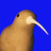 Might Fly (@mightflysolano) 's Twitter Profile