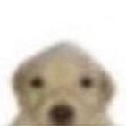 ccallkk's profile picture. 씹덕자아 비루하고 가냘프게 살려서 이어왔더니 그 끝이 인외퍼리장르잡기라니