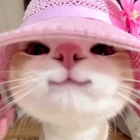 Girl Lkaka 🎀 (@girllkaka) Twitter profile photo