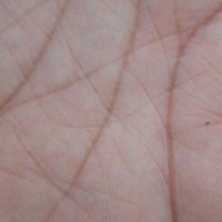 FARJI पत्रकार (@raju24644524782) 's Twitter Profile