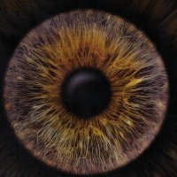 Schäfer (@gabrieleschfer9) 's Twitter Profile Photo Schäfer (@gabrieleschfer9) 's Twitter Profile Photo
