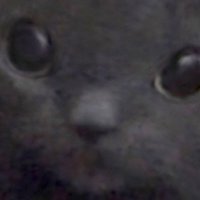 terpsonal (@terpsonal) 's Twitter Profile Photo