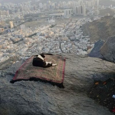 La prière est ton meilleur refuge, le plus puissant et le plus proche d'Allah