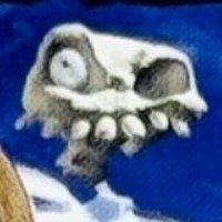 smcsmcstrms's profile picture. Slow down, baby