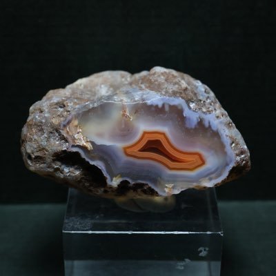 Labradorite226's profile picture. 鉱物 ・自然が大好物！それなのに高校の選択科目は文系、職は理学療法士と頭のぶっ飛んだ道を歩んでおります！瑪瑙らーいふ！！ #アゲー党