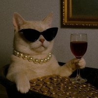 TURiSTA (@meportobonitx) 's Twitter Profile