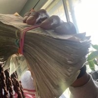 TrapDaGeeker (@trapdageeker) 's Twitter Profile Photo TrapDaGeeker (@trapdageeker) 's Twitter Profile Photo