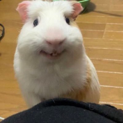 angsusangtae's profile picture. #제발요
#돌아와