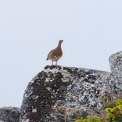 wdhaorieambut's profile picture. 登山元年。登山始めました
行きたい山:金峰山、乾徳山、男体山、針ノ木岳、妙高山・火打山etc