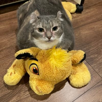 vk5oq1's profile picture. たまーにゲームする社会人/主にバロ