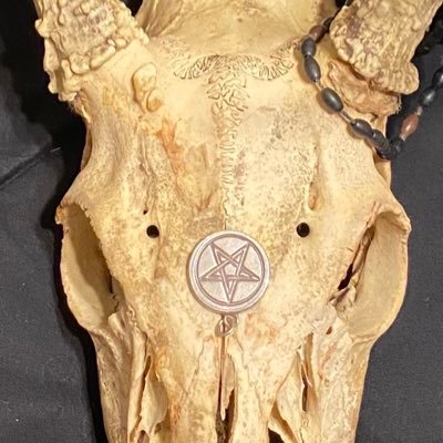 Jeremy189581982's profile picture. defiantly happy