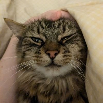 welcome back to me did you miss me?
entry = 3 dreamies