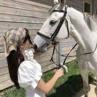 Oblervo (@oblervo2380161) 's Twitter Profile