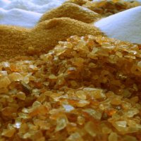 Grünzucker (@gruenzucker) Twitter profile photo