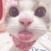 lala 𐙚 ‧₊˚ ⋅ (@kharendaviluh) Twitter profile photo lala 𐙚 ‧₊˚ ⋅ (@kharendaviluh) Twitter profile photo