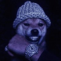 DEV (@wedontdump) 's Twitter Profile