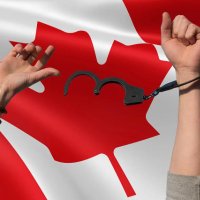 The Regular Canadian (@regular61088) 's Twitter Profile