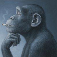 broks (@bitpotsol) 's Twitter Profile