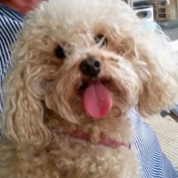 Fernj23 (@fernandoma11810) 's Twitter Profile