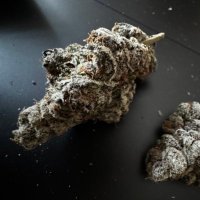 ノマドワーカーkush (@d3785477238787) 's Twitter Profile