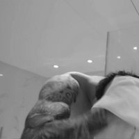 fewerish (@fewersh) Twitter profile photo