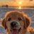 yayak731's profile image