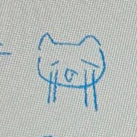 たるふ (@taru_wc) 's Twitter Profile