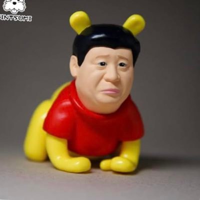 我が家のペット (レオパ)ゴンタ♂2017生・ハッチ♂2018生 (ニシアフ)シイ♀2020生・ドン♀2020生 TOEIC 994点・CASEC1146点