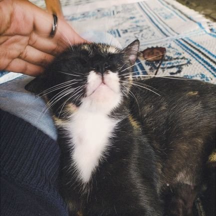 WordsRestHere's profile picture. undefined.