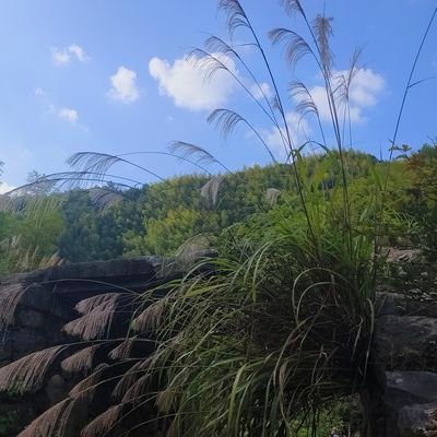 cx571585's profile picture. 