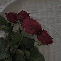 Spicy Scar (@scarspicyx) 's Twitter Profile