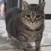 ter3q's profile picture. 16,ESFP-T