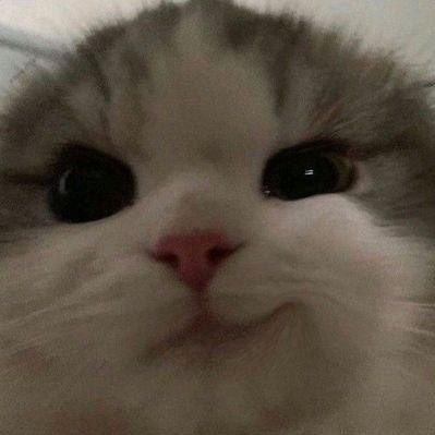 localstranger5's profile picture. badabimbadabum