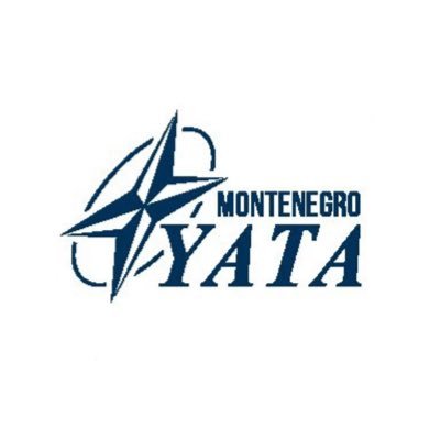 Promoting the Euro-Atlantic ideas and values of transatlantic cooperation among the youth. Part of the Atlantic Council of Montenegro.