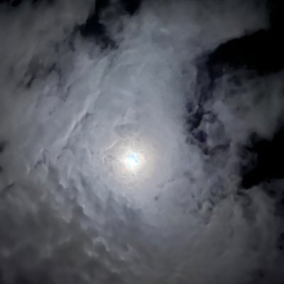 kosianha_3's profile picture. 出戻りかつ！！名前変えた！！！