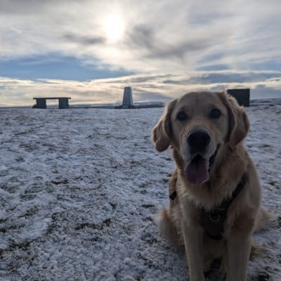 MazzyCryptos Profile