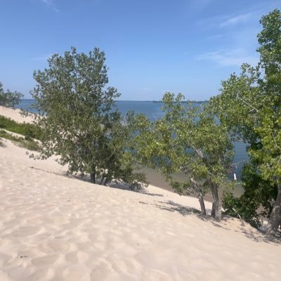 Dgof26's profile picture. 